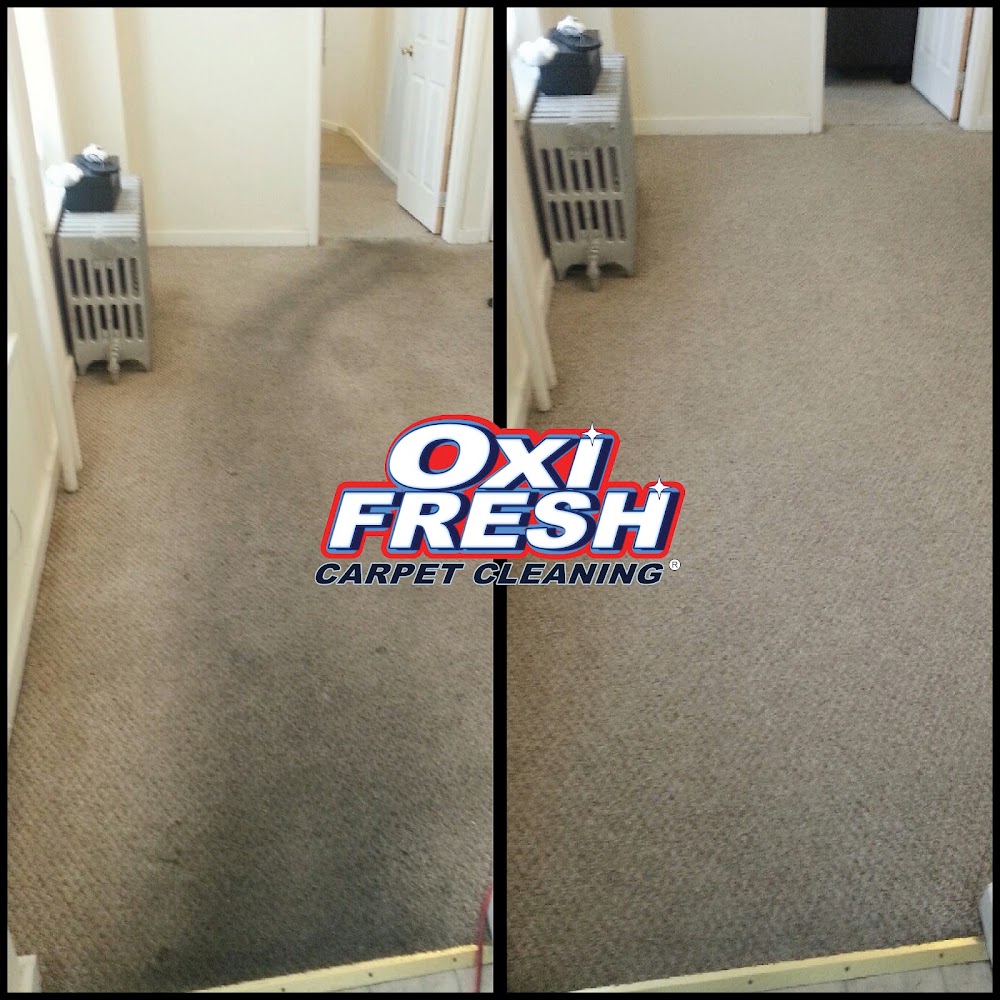 Oxi Fresh Carpet Cleaning