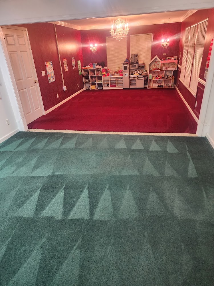 Rapid Dry Carpet Cleaning