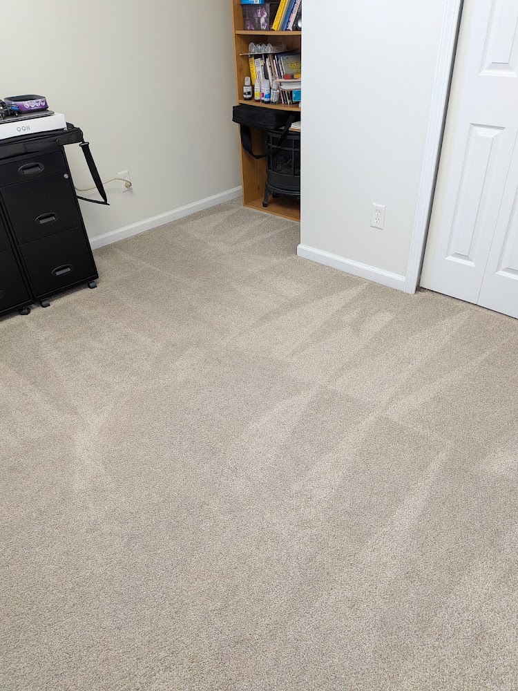 All Star Carpet Cleaners