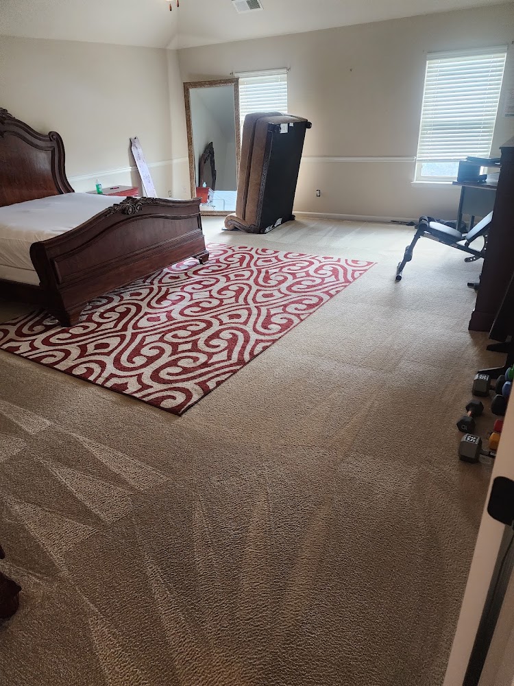 Rapid Dry Carpet Cleaning